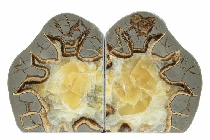 Crystal Filled Septarian Geode Bookends - Utah #231080